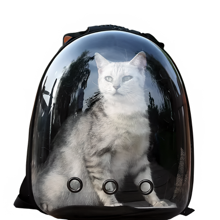 309b3d67-96bd-4701-a89b-f71844ac4511