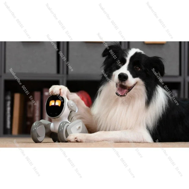 S092ef919d83c4e418f8aef3f5ddaa397k