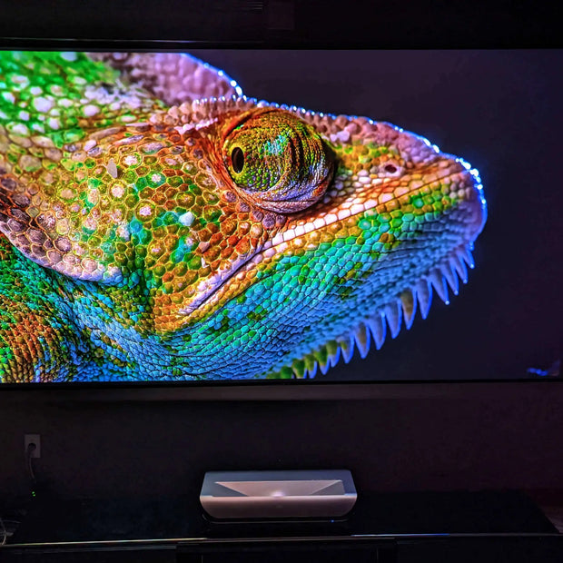 Sb9a06ecd2b1a4ec7bb80767d97b4bfd9X