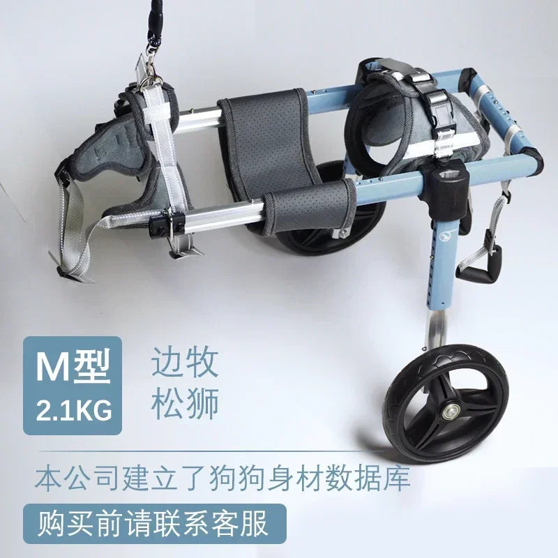 Sdc1225c208a34cafa20764f29fa017aaV
